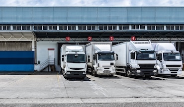 Worldwide Transport
